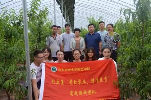 香港資料內(nèi)部資料精準,實踐調(diào)查說明_TYN50.750藝術版