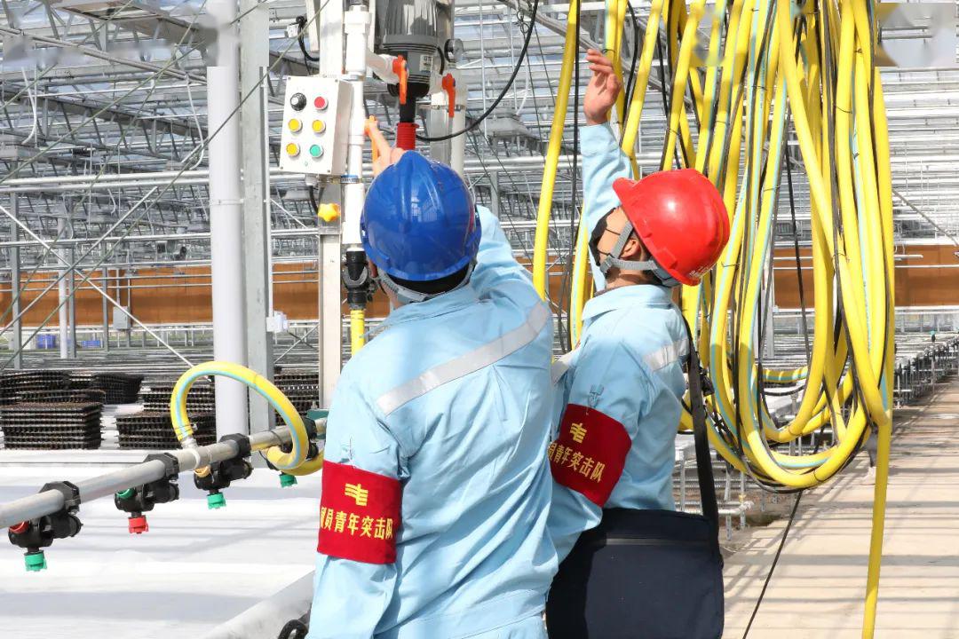 草海機(jī)場(chǎng)最新動(dòng)態(tài)揭秘，建設(shè)進(jìn)展、航班信息及未來展望