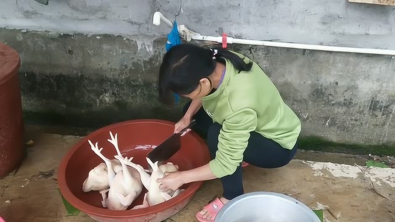 關(guān)于阿梅殺雞視頻的理性分析與網(wǎng)絡(luò)倫理道德探討，警惕涉黃內(nèi)容侵蝕社會(huì)倫理底線。