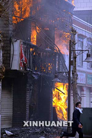 西藏最新事件，雪域高原的溫馨日常觀察