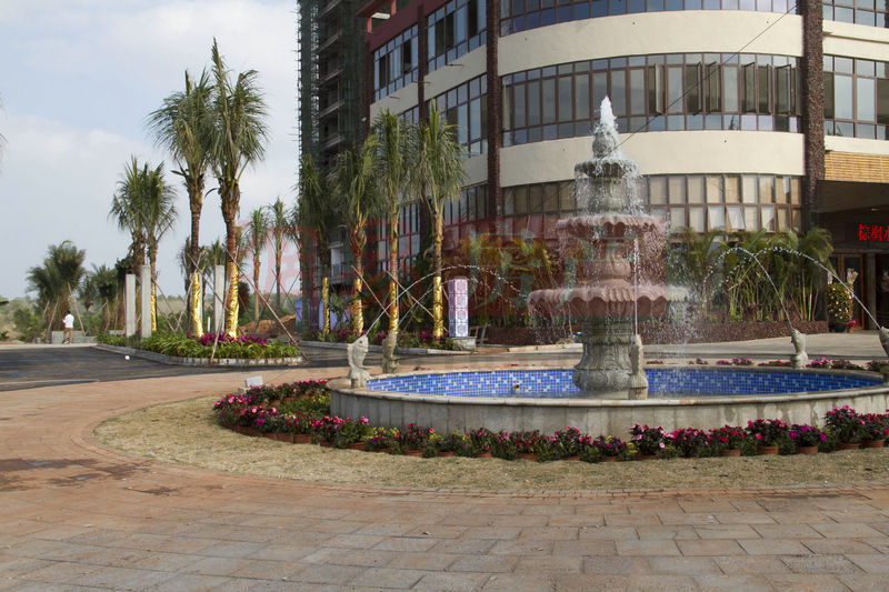 棕櫚水城最新動態(tài)，塑造理想生活新標(biāo)桿！