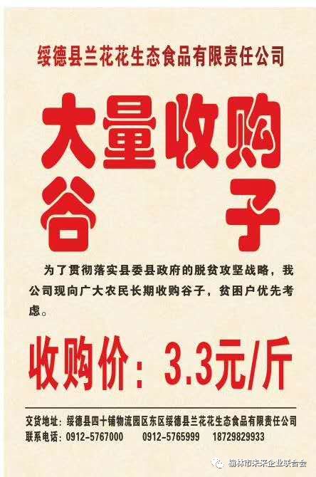 淄川最新財務(wù)招聘,職業(yè)發(fā)展的理想選擇