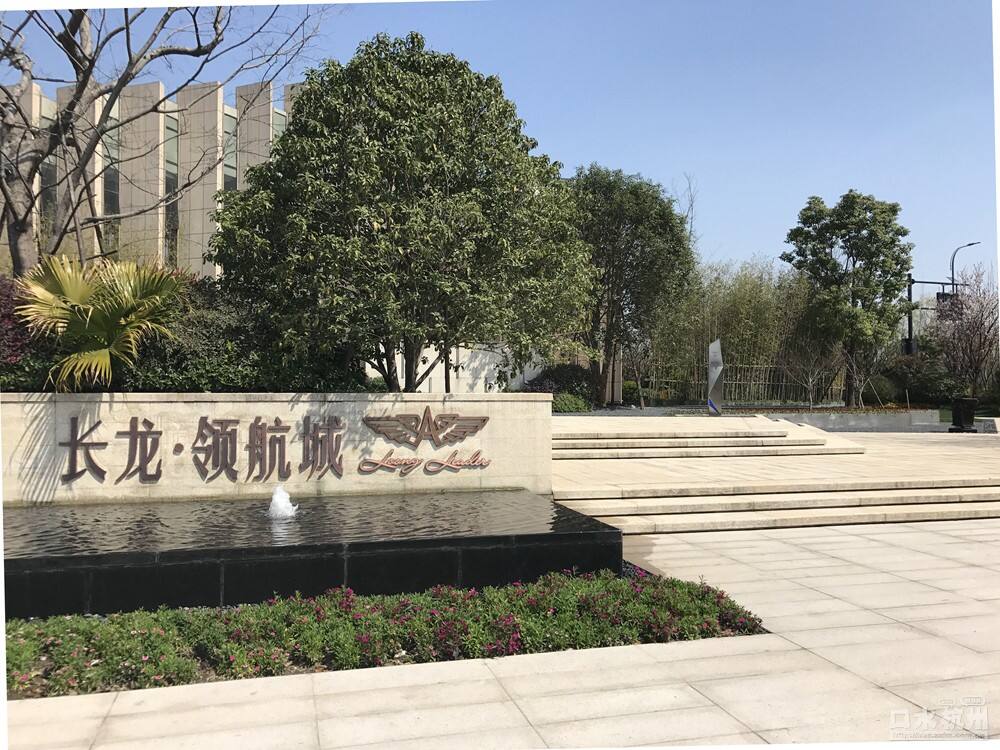 長龍領(lǐng)航最新動態(tài)，駕馭變革，開啟知識海洋的勵志之旅