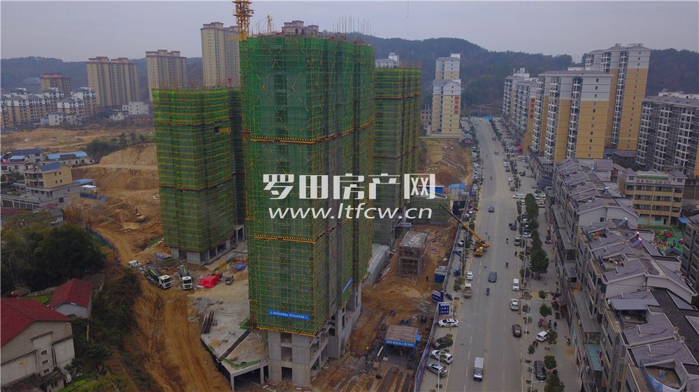 羅田最新房?jī)r(jià)揭秘，洞悉市場(chǎng)動(dòng)態(tài)，掌握房?jī)r(jià)走勢(shì)！