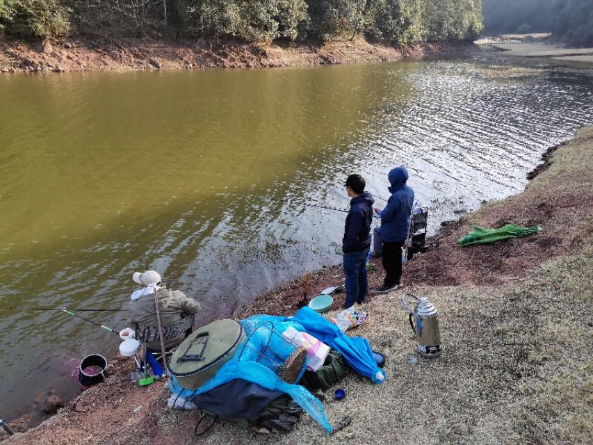 最新水庫釣魚視頻，探索釣魚樂趣與技巧全攻略