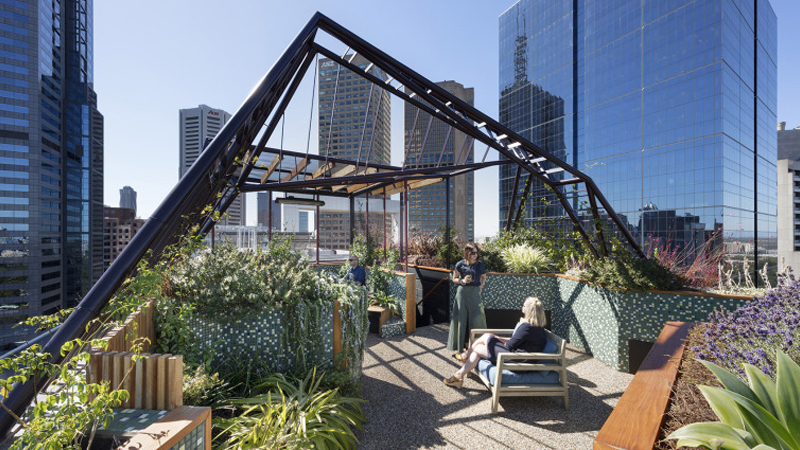 最新樓頂花園設(shè)計與展示，綠意盎然，繁花似錦的空中花園體驗(yàn)