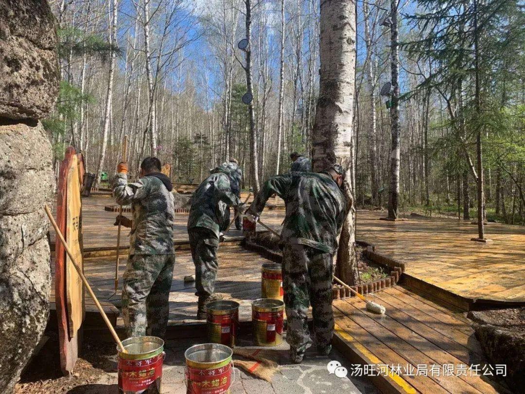 探尋神秘寶石世界的獨(dú)特魅力，最新奇石新聞報(bào)道