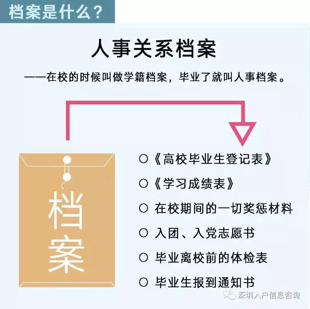 檔案人員補(bǔ)貼最新觀點(diǎn)論述，探討補(bǔ)貼政策與檔案人員發(fā)展的關(guān)系