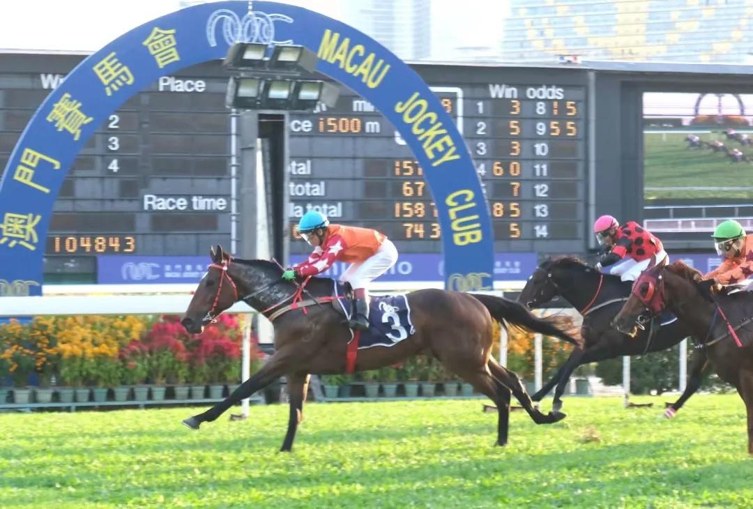 馬會(huì)澳門一傳真,專業(yè)解讀方案實(shí)施_CSF27.813原創(chuàng)版