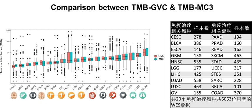 王中王375959cm開(kāi)獎(jiǎng)結(jié)果,數(shù)據(jù)驅(qū)動(dòng)決策_(dá)SLF27.152融合版