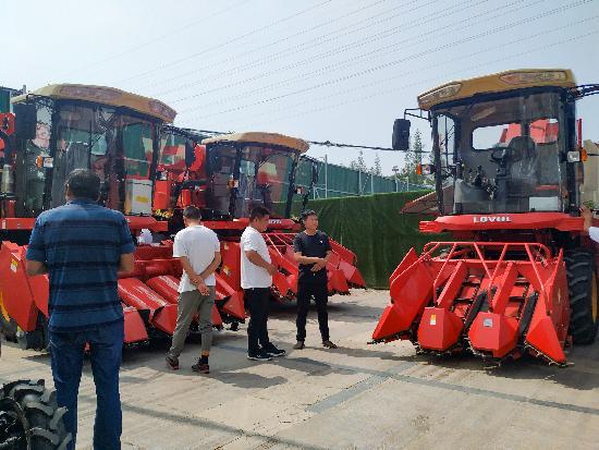 邳州玉米最新價格，時代見證下的市場動態(tài)