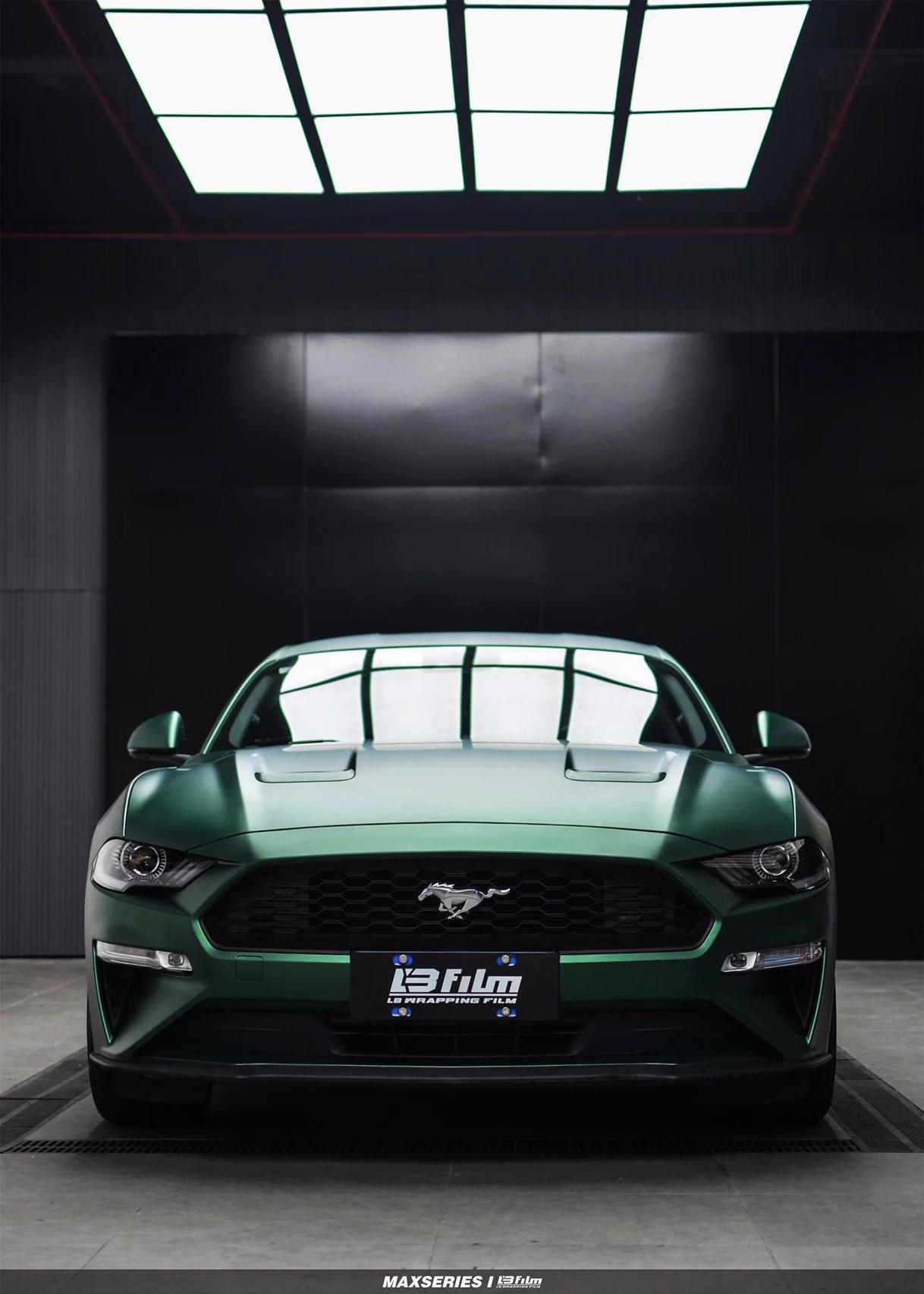 最新野馬汽車(chē)，技術(shù)革新與市場(chǎng)競(jìng)爭(zhēng)的展現(xiàn)