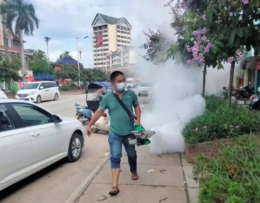 景洪登革熱最新疫情動態(tài)，挑戰(zhàn)與自信之光的博弈