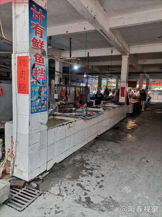 最新魚檔轉(zhuǎn)讓，把握商機(jī)，輕松開啟水產(chǎn)養(yǎng)殖事業(yè)之路