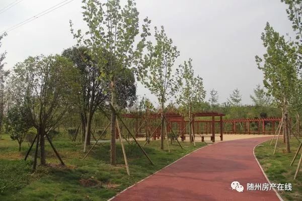 隨州桃園公園最新動態(tài)揭秘，驚喜連連，不容錯過！