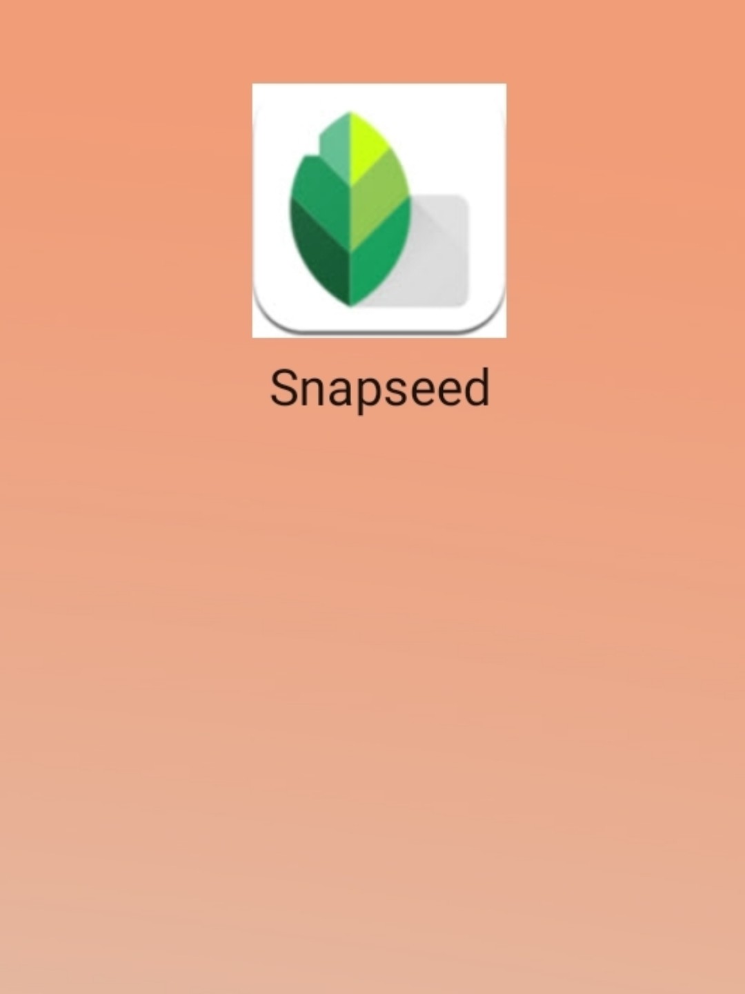 最新snapseed中文版，科技重塑影像，讓生活因攝影更精彩