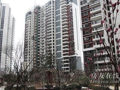 綠地長島公寓最新價格揭秘，小巷深處的隱藏寶藏