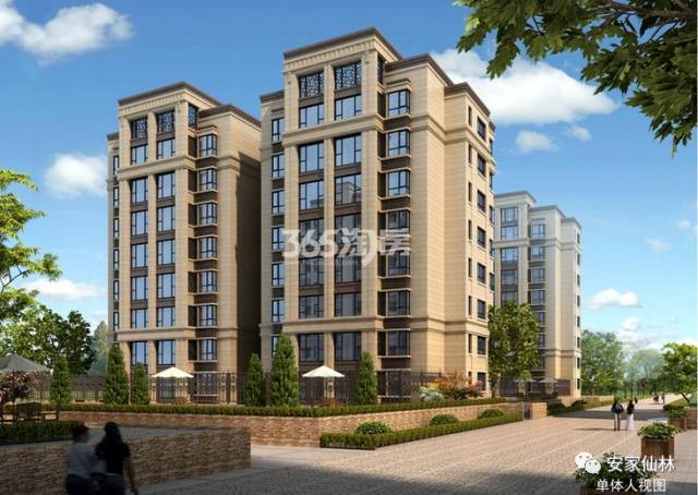 銀城東岳府最新動態(tài)分析揭秘，最新消息與進(jìn)展