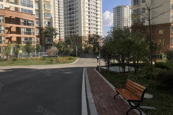 建禮家園最新動(dòng)態(tài)，小巷中的隱藏瑰寶揭秘