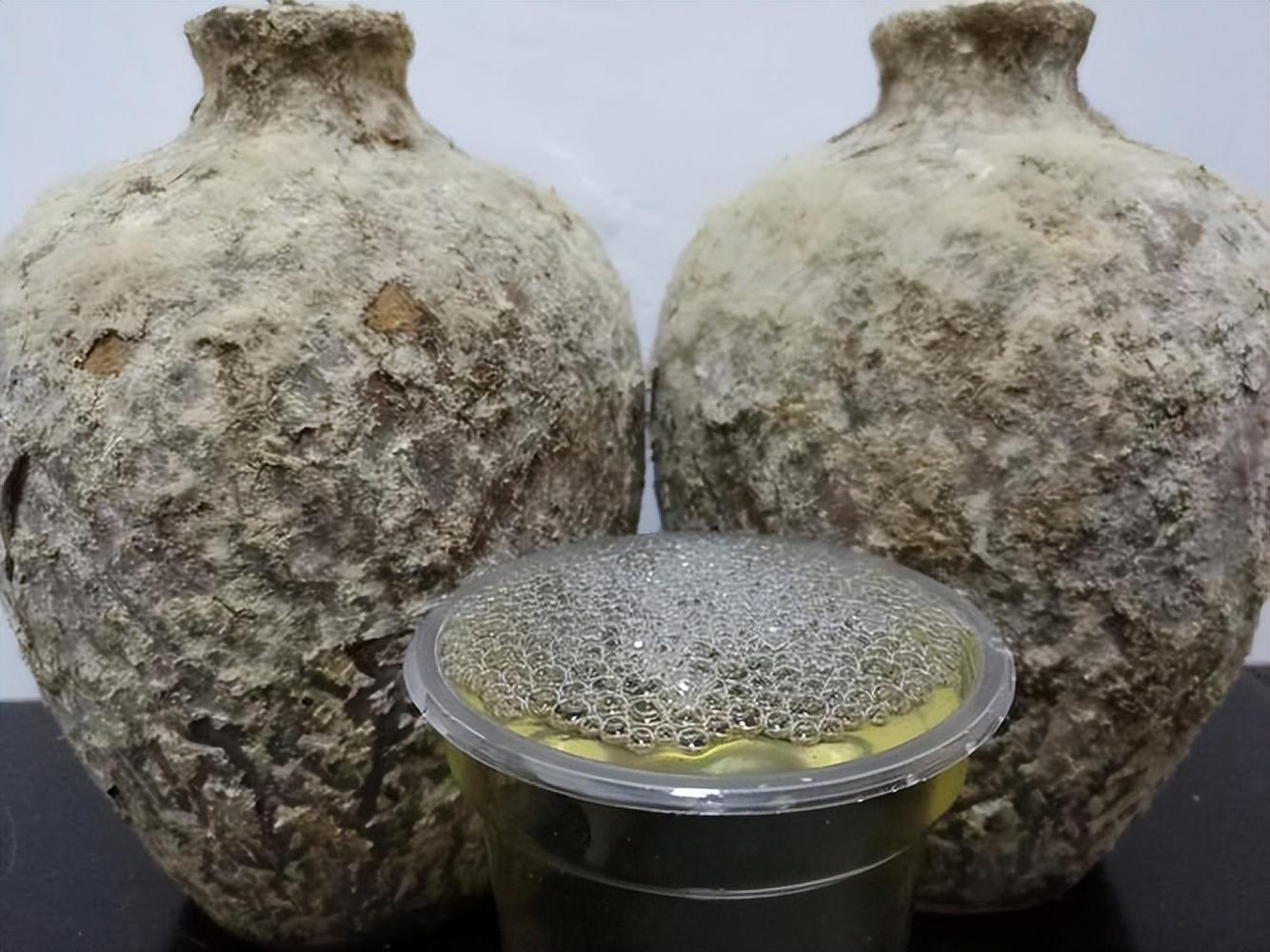 仁懷房屋出售最新信息，科技與家居融合，未來家居新體驗(yàn)重磅推出