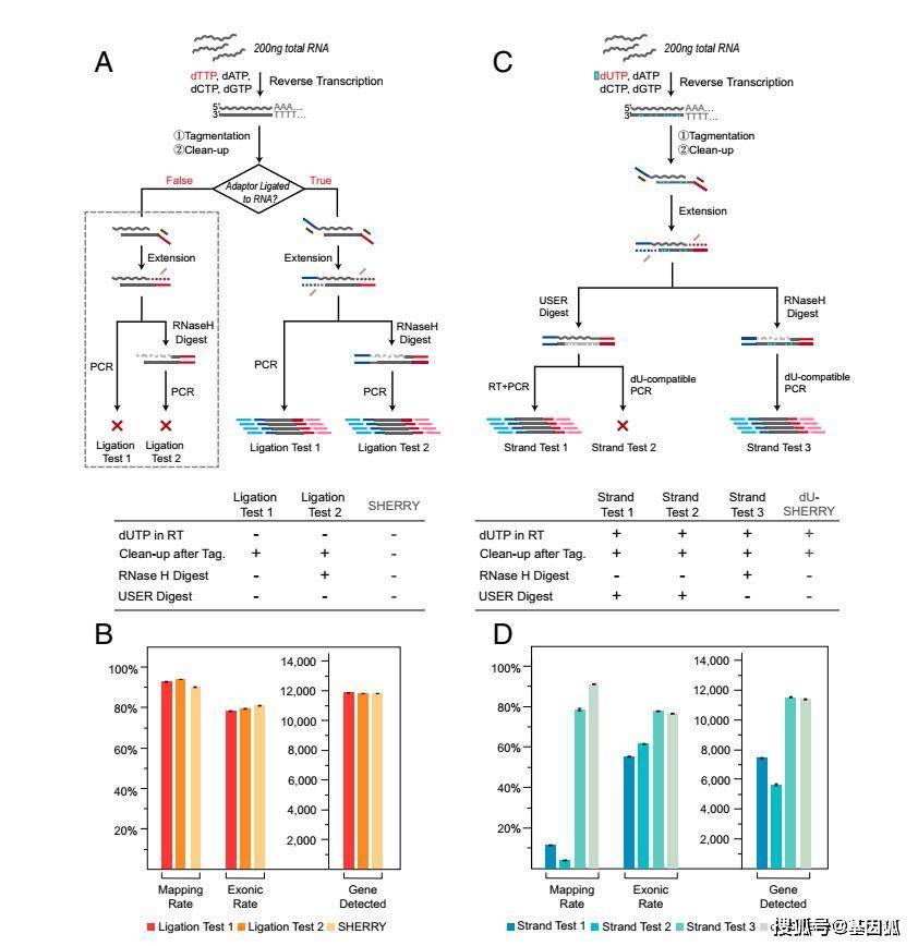 新澳門49圖資料,科學(xué)分析嚴(yán)謹(jǐn)解釋_BDU85.735跨平臺(tái)版