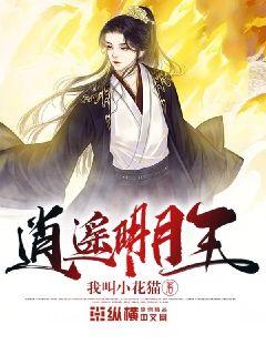 時(shí)代之光下的璀璨篇章，明月珰最新連載熱議熱議熱議！