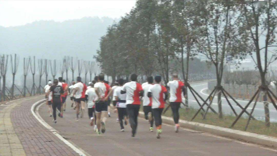 古田環(huán)湖路最新動(dòng)態(tài)揭秘，時(shí)代脈搏與城市發(fā)展的融合之路