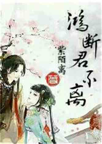 沈南汐最新小說(shuō)，知識(shí)的力量，成就夢(mèng)想的翅膀之路