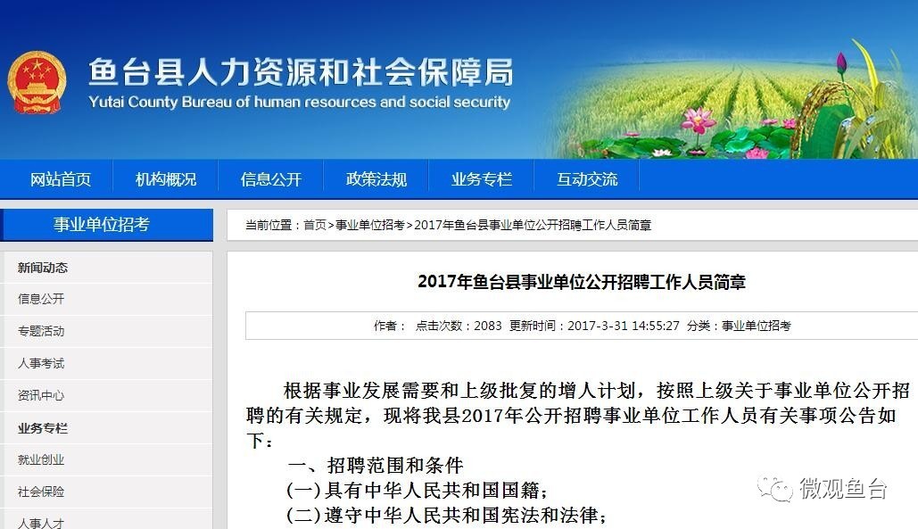 魚(yú)臺(tái)最新招聘信息大全，求職步驟指南與招聘信息更新速遞