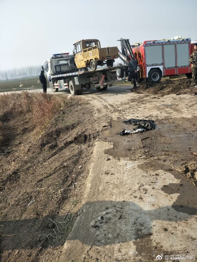 泗縣車禍悲劇，警醒與深思背后的最新新聞報道