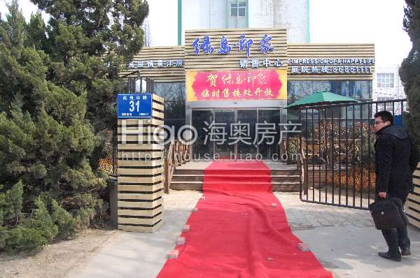 青島大洋花園最新動(dòng)態(tài)，科技重塑未來(lái)花園的極致體驗(yàn)