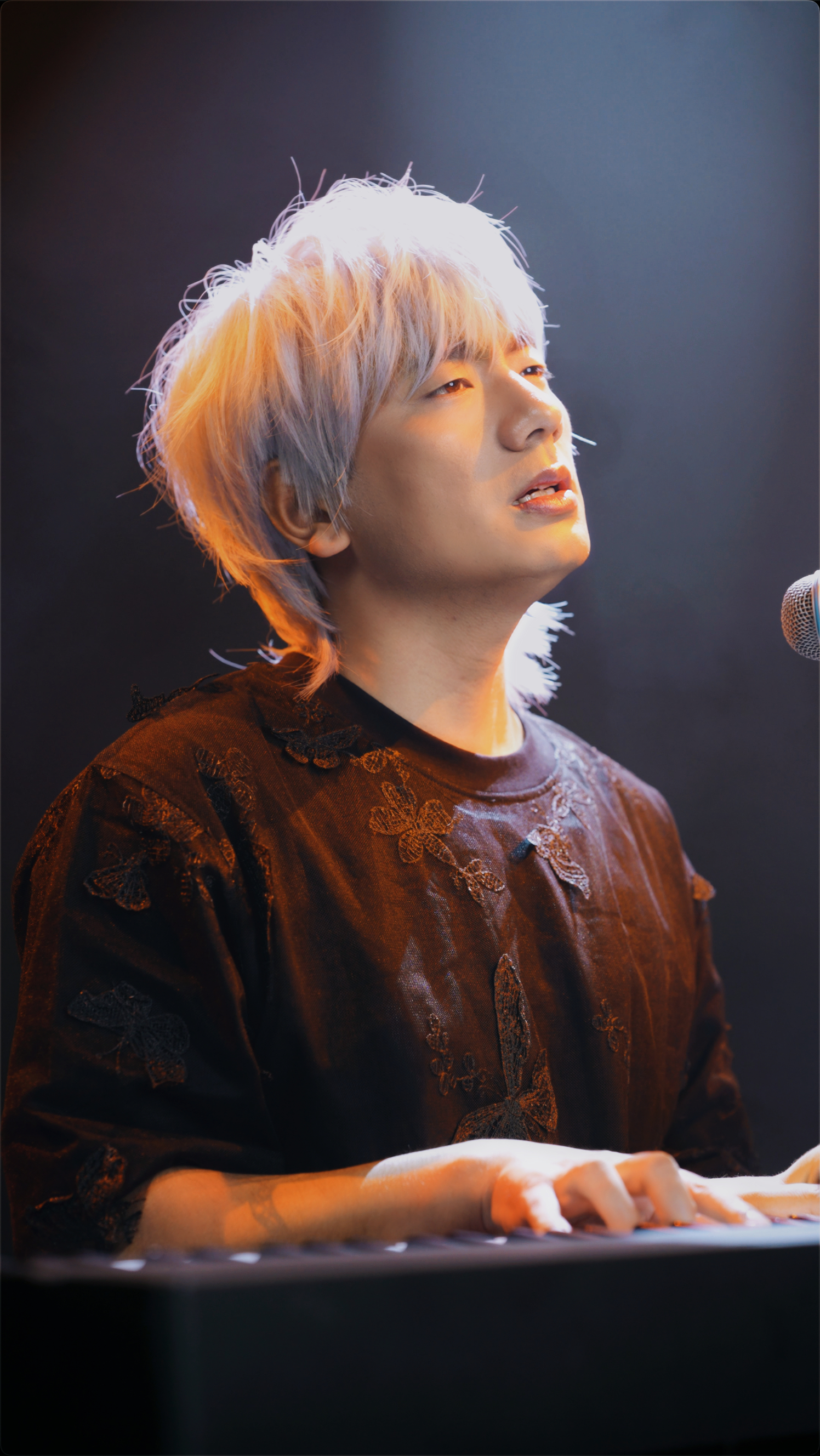 冷漠2024最新預告新歌，音樂與時代交融的期待之聲