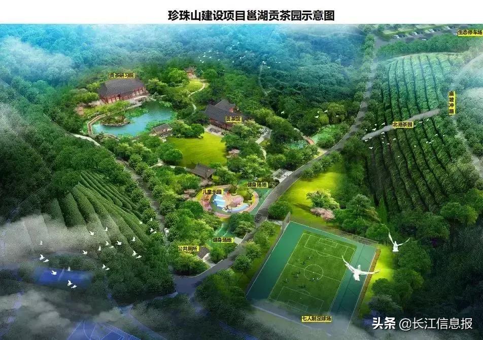 岳陽(yáng)北港小學(xué)最新動(dòng)態(tài)揭秘，校園新聞與活動(dòng)更新