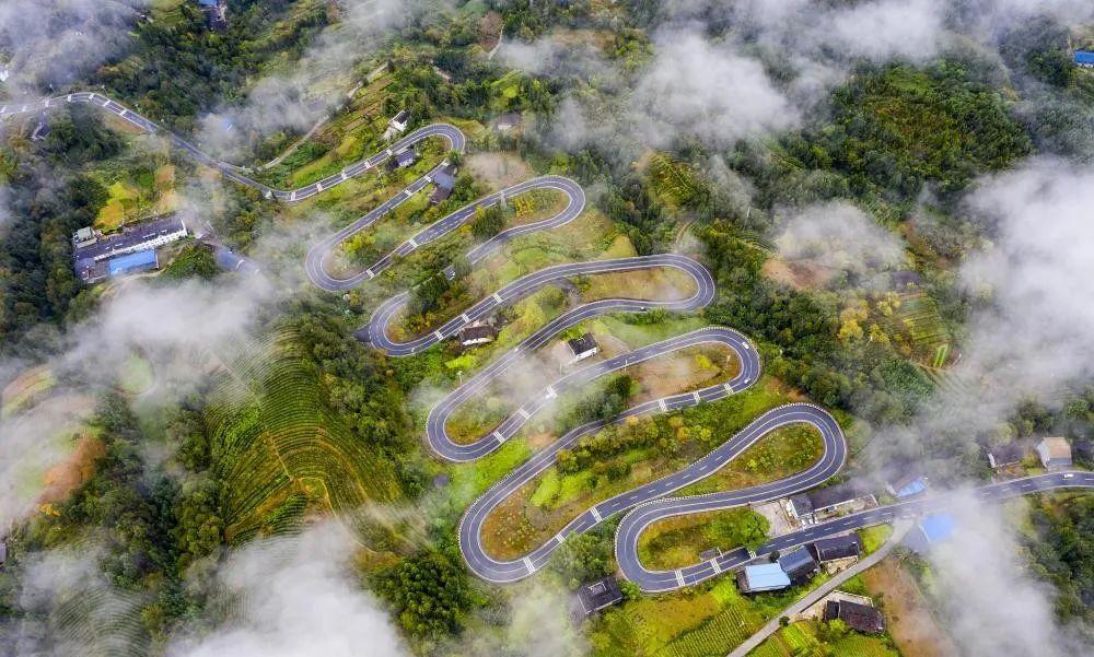 奉節(jié)云霧鄉(xiāng)的最新動態(tài)與溫馨日常，云霧中的快樂時光