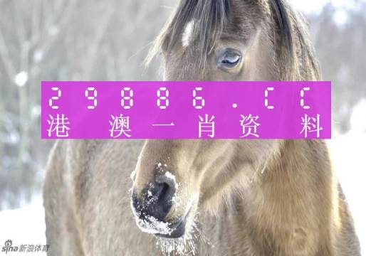 澳門一肖一碼精準100%-百,精準解答方案詳解_機器版61.644