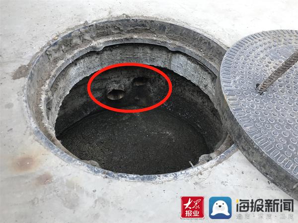 福建臺(tái)幫幫團(tuán)最新一期揭秘，小巷深處的隱藏美食瑰寶