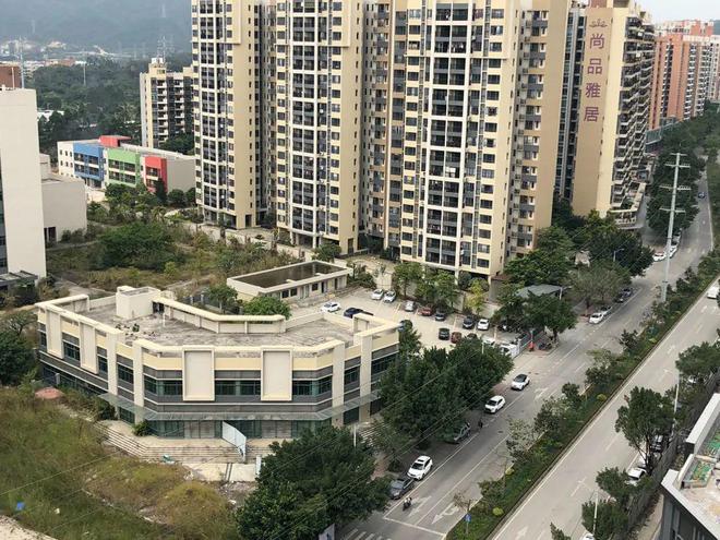 膠南山水雅居最新動態(tài)，鄰里日常趣事與情感紐帶分享