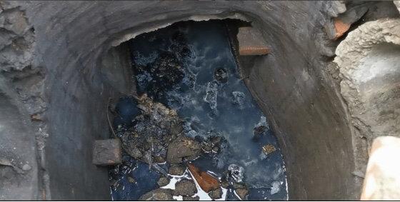 遂寧市電子廠最新招聘，與自然共舞，探尋內(nèi)心寧?kù)o之旅