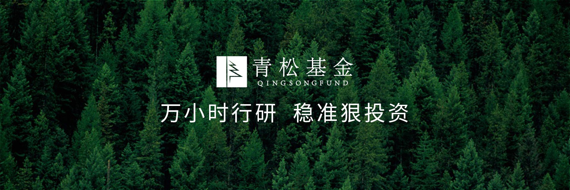 長青樹眾籌最新動態(tài)，背景、發(fā)展與時代地位探索