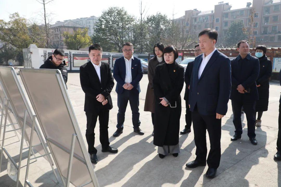 良渚大陸村最新規(guī)劃圖揭秘，小巷中的獨(dú)特風(fēng)情探索