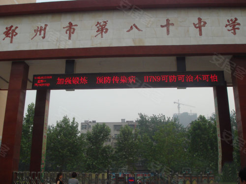 中原區(qū)九龍城最新動態(tài)深度解析，最新進展與觀點闡述