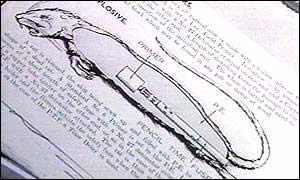 美國填尸最新進展，高科技重塑生活，未來科技魅力體驗