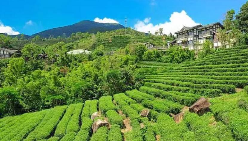 深圳驚喜活動溫情之旅，日常中的特別瞬間