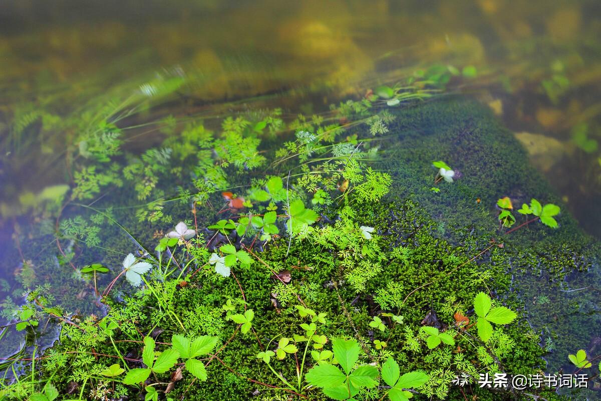 南山高樓崛起，背景、發(fā)展與時代地位全景解析