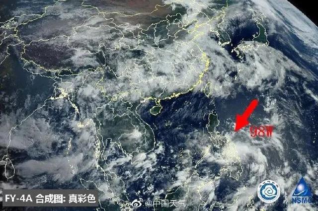 臺風(fēng)鸚鵡的最新動態(tài)，逆風(fēng)翱翔的力量與學(xué)習(xí)魅力