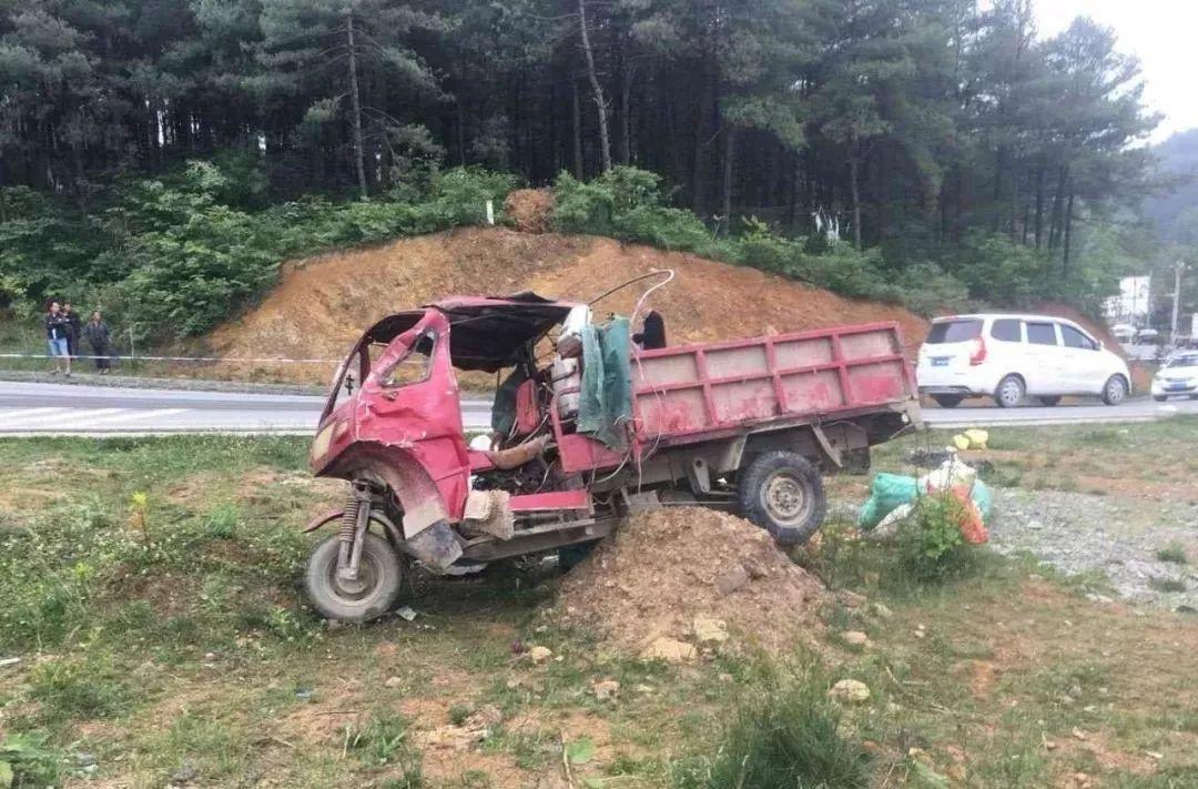 平山事故背后的溫馨故事，友情、愛與陪伴的奇遇