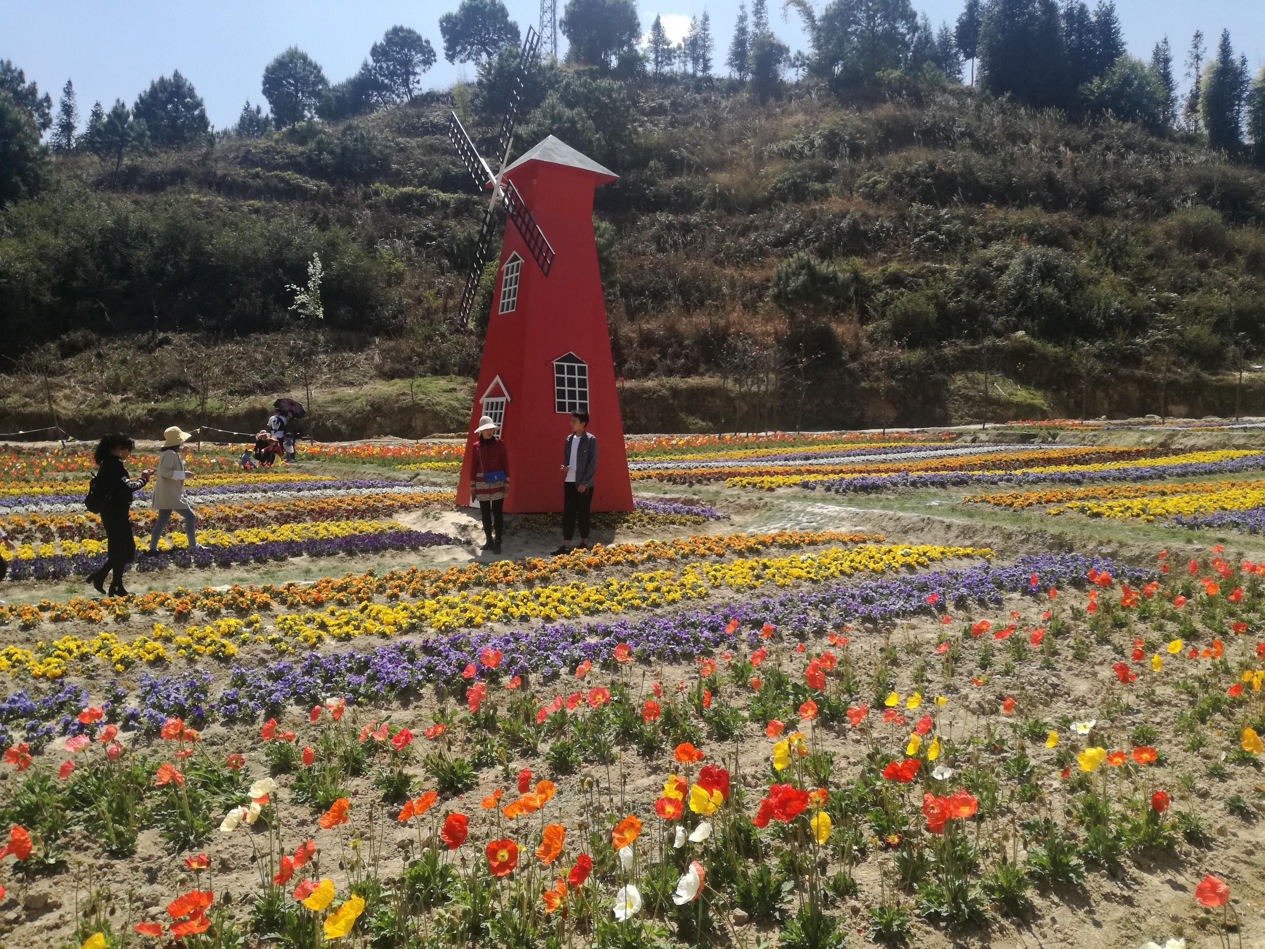 臨滄市最新探索，自然美景之旅，尋找內(nèi)心平和的旅程