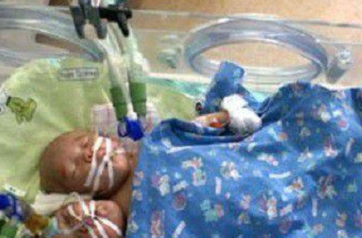 雙頭姐妹，時代背景下的傳奇故事最新進(jìn)展