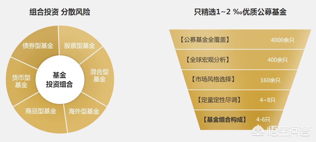 深度解析，今年養(yǎng)雞產(chǎn)業(yè)趨勢與前景展望
