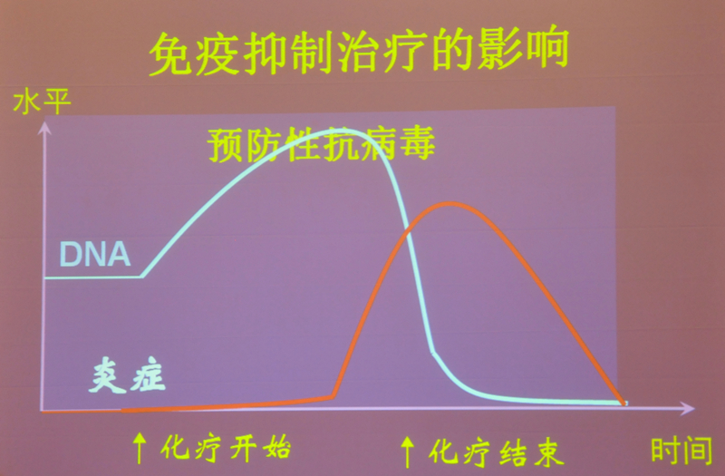 肝炎新進(jìn)展揭秘，小巷深處的秘密小店探索